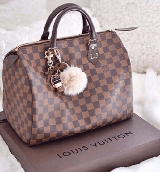 an LV bag